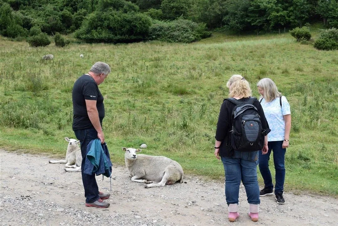 G21.5  bramslev bakker to hobro walk along mariager fjord (3)